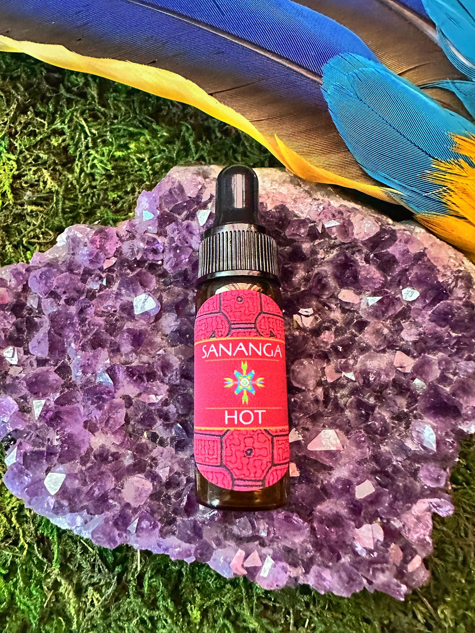 Sananga Eye Drops – Sacred Amazonian Plant Medicine